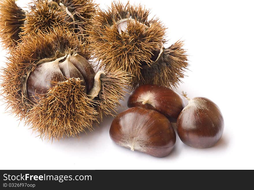 3 Chestnuts with husks