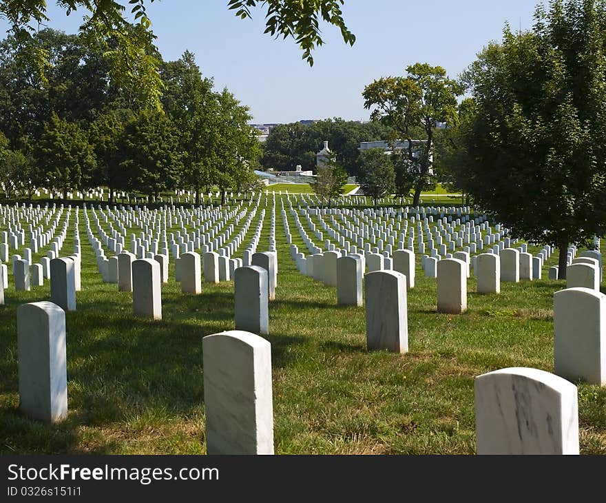 Graves in the Cemetery