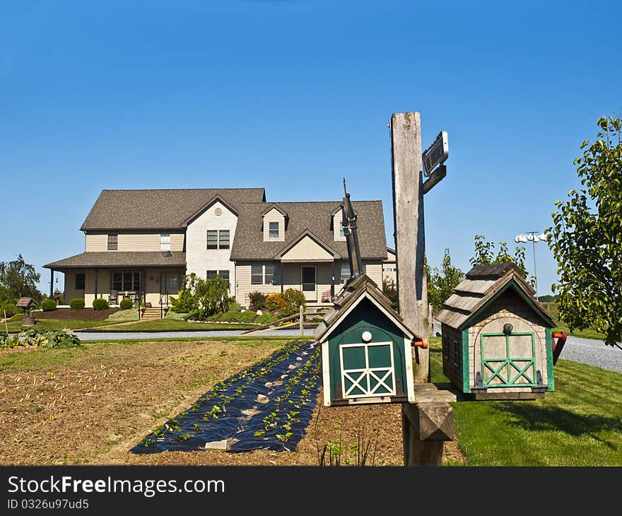 Amish Farm ni the county of Lancaster USA