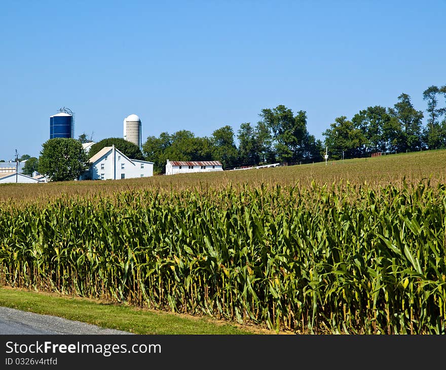 Amish Farm in the county of Lancaster USA. Amish Farm in the county of Lancaster USA