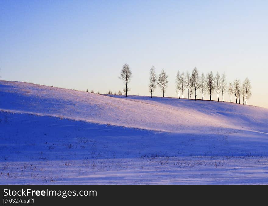 Winter pink landscape with trees on hill