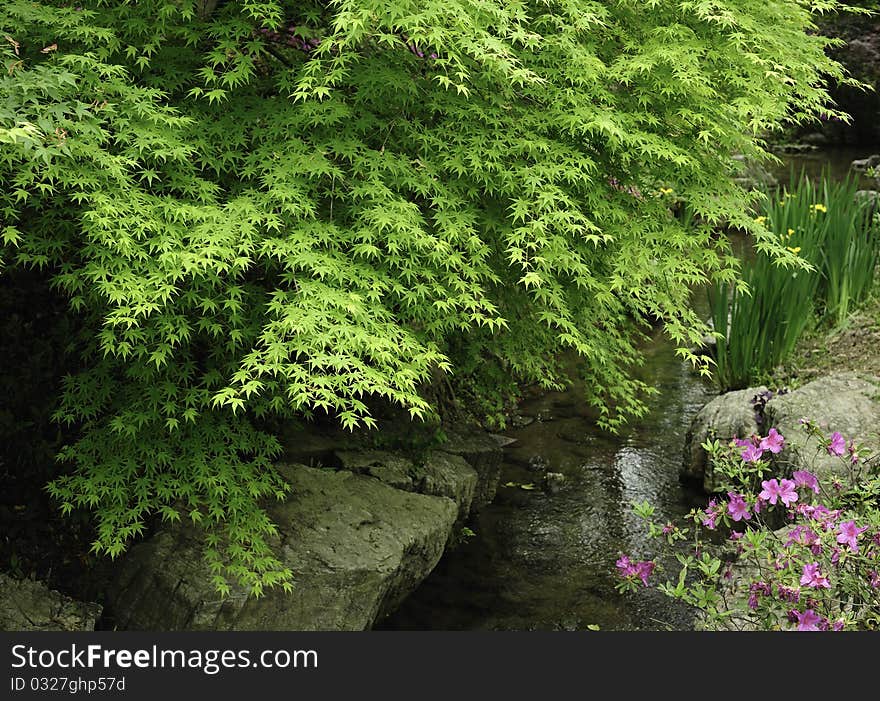 This was shot in a park in spring, a peaceful scenery. This was shot in a park in spring, a peaceful scenery.