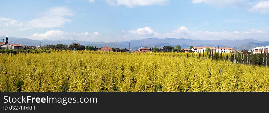 Beautiful Panorama of Tuscany in Pistoia. Beautiful Panorama of Tuscany in Pistoia