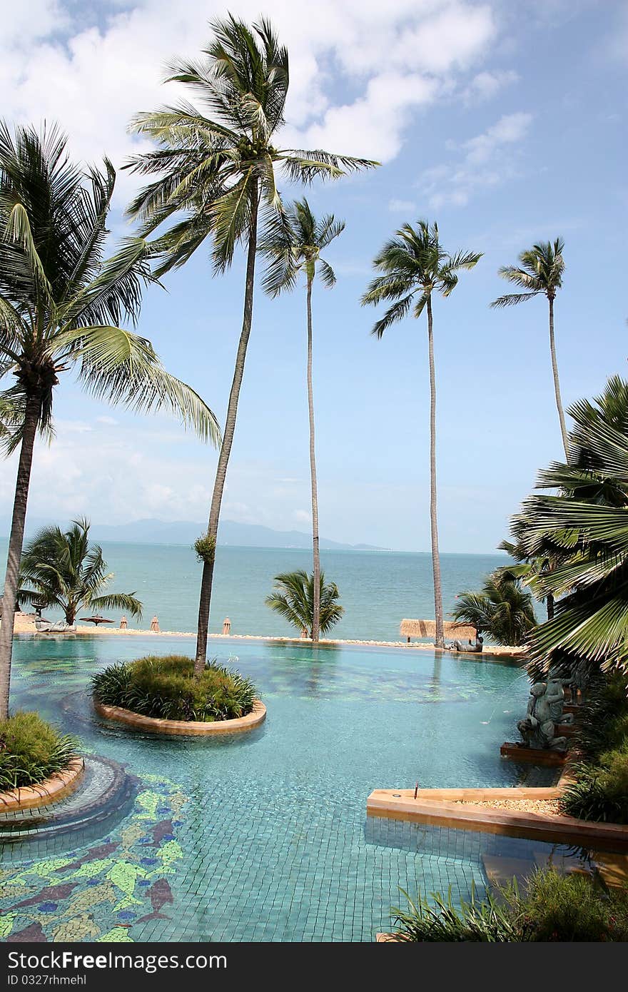 Swimming pool with coconut tree