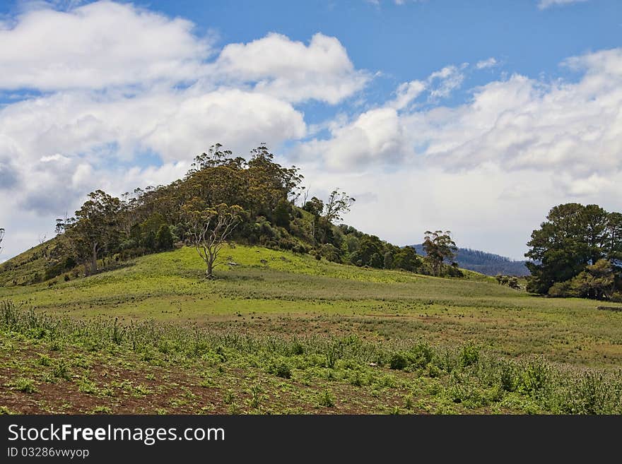 Tasmanian farmland