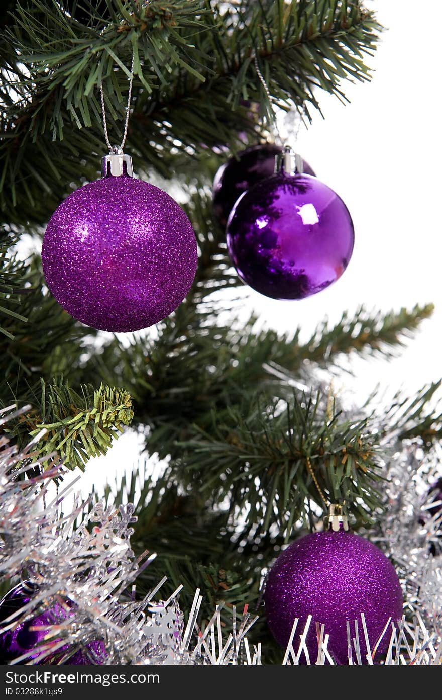 Christmas Tree In Studio On White Background