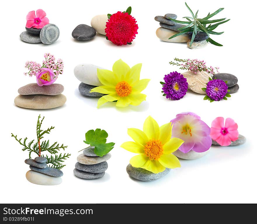 Set flowers and stones, isolated on white background.