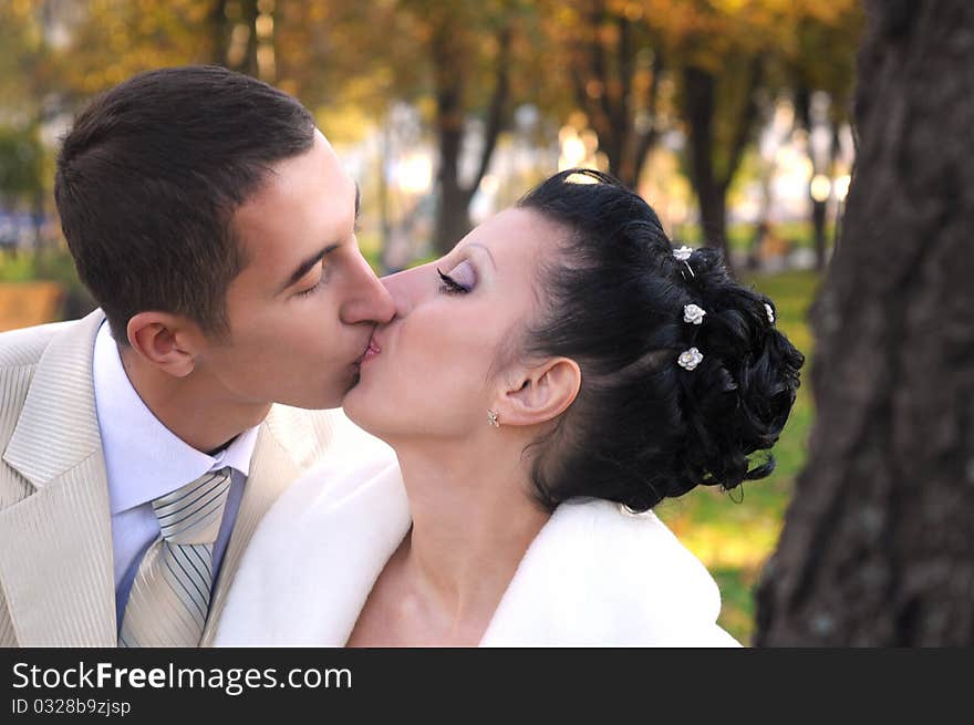 Groom is kissing his bride near the tree in the park. Groom is kissing his bride near the tree in the park