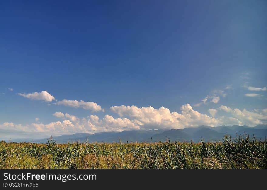 Mountains Landscape