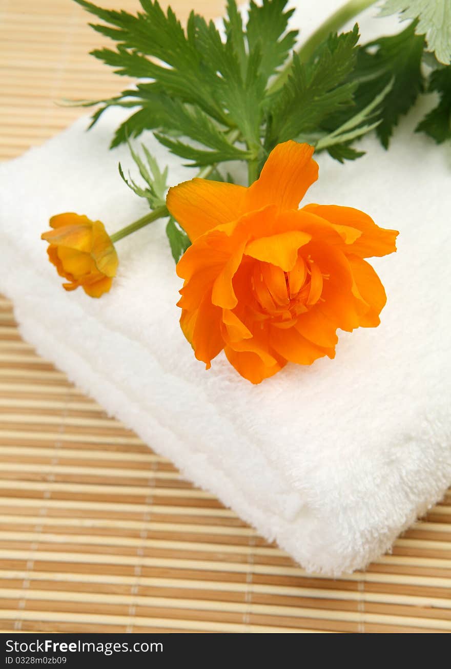 Subjects for care of a body, flowers on white towel.