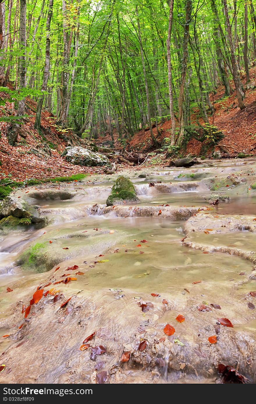 Forest river