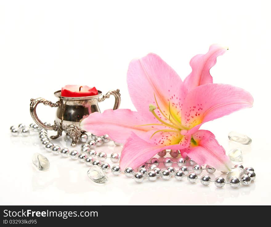 Pink lily on a white background