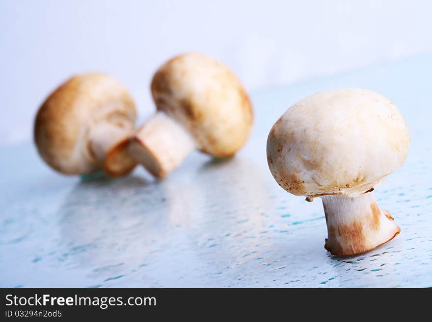 Champignon, cooking. On blue background. Champignon, cooking. On blue background