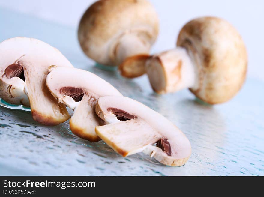 Champignon, fungus, cooking. on blue background. Champignon, fungus, cooking. on blue background