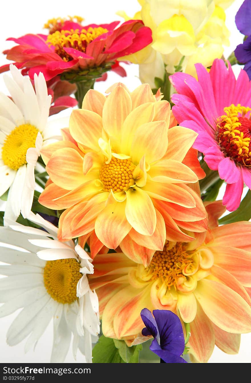 Fine flowers on a white background