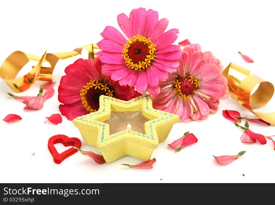 Fine flowers on a white background. Fine flowers on a white background