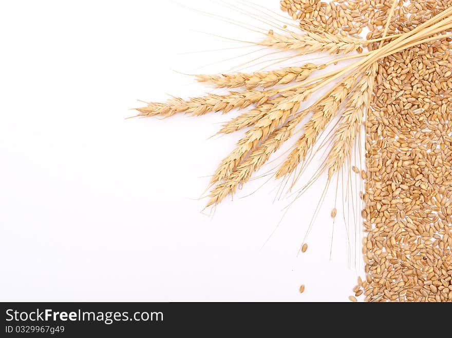 Wheat Ears