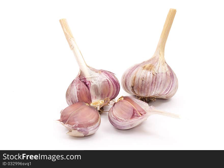 Garlic bulb