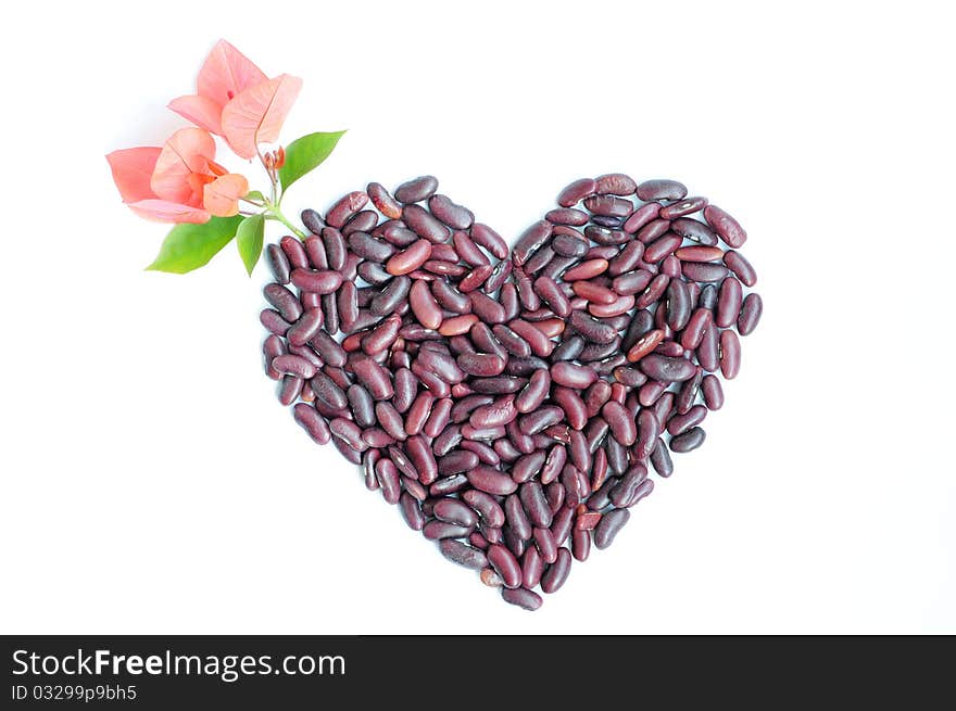 Heart-shaped appearance made of beans with pink flowers isolated on white background. Heart-shaped appearance made of beans with pink flowers isolated on white background