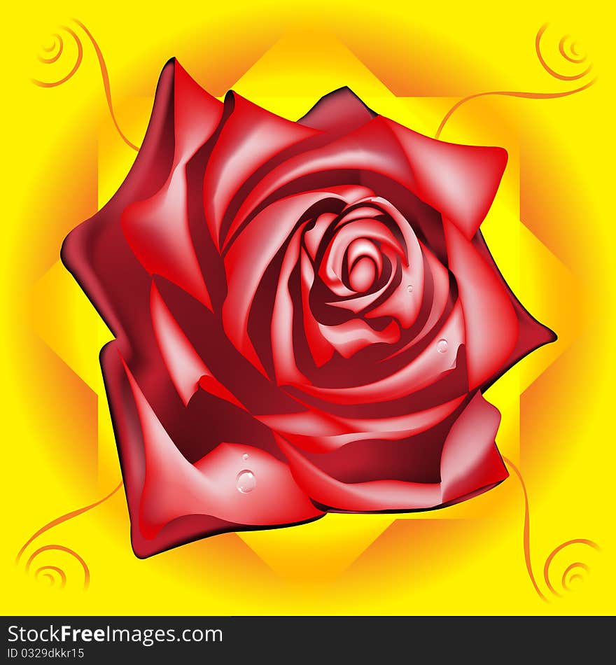 Red rose with dew drops on a yellow background, vector illustration, eps10. Red rose with dew drops on a yellow background, vector illustration, eps10