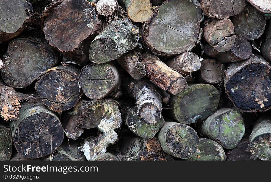 Stacked wood pile of wet logs. Stacked wood pile of wet logs