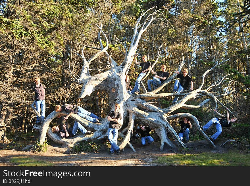 There are clones everywhere around the tree, playing around it and on it.