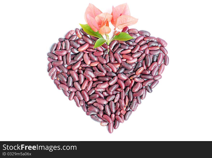 Heart-shaped appearance made of beans with pink flowers isolated on white background. Heart-shaped appearance made of beans with pink flowers isolated on white background