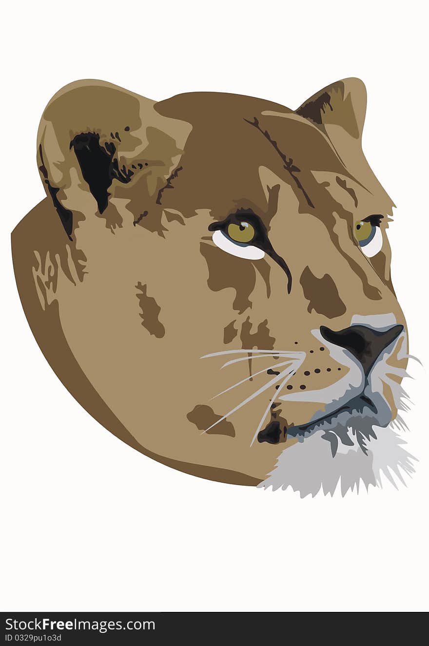 An illustration of a lion head