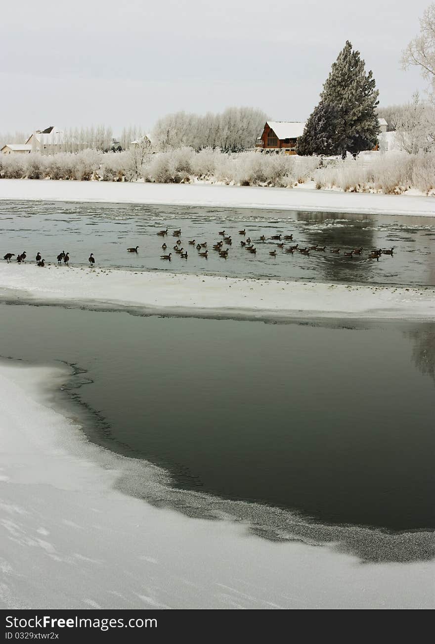 Winter morning on the Snake River near Blackfoot Idaho