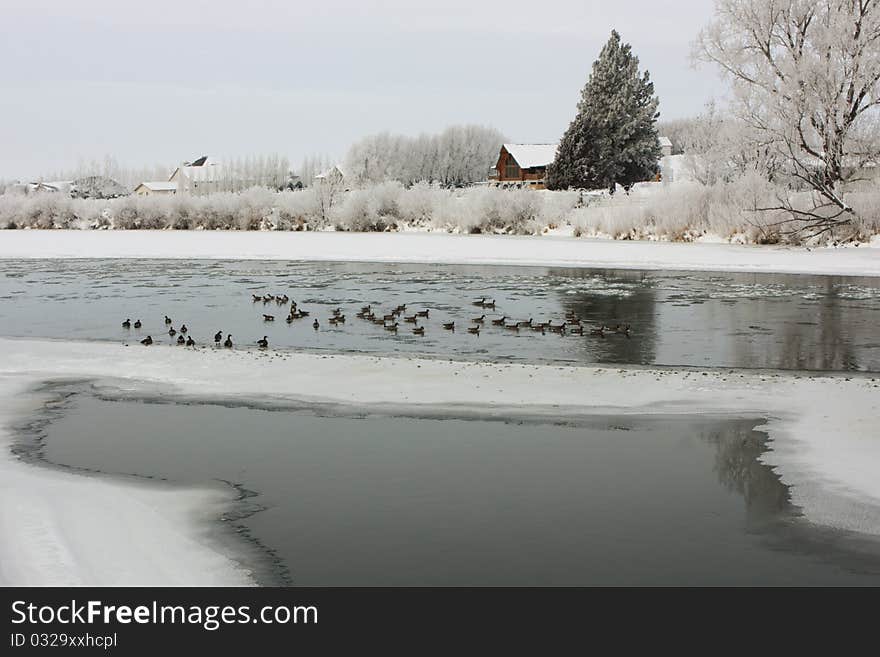 Winter morning on the Snake River near Blackfoot Idaho