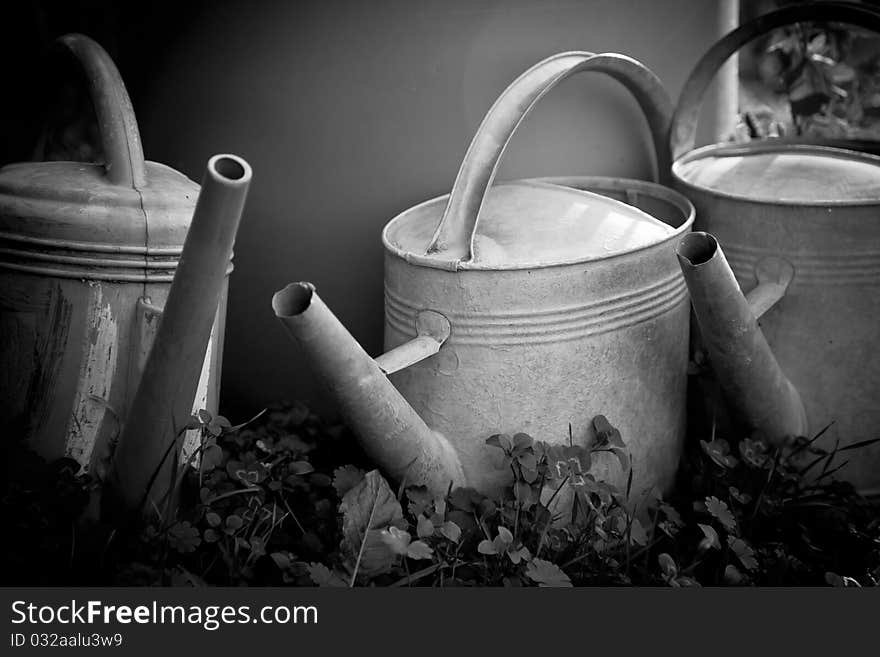 Watering Cans