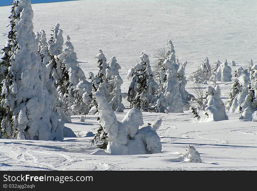 Snow Scarecrows