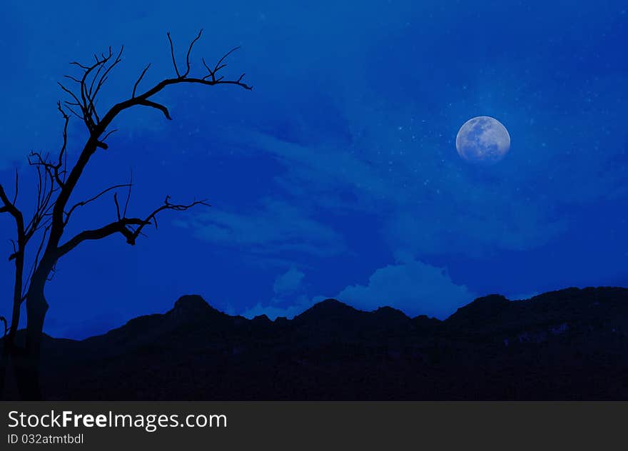 Blue night landscape for background