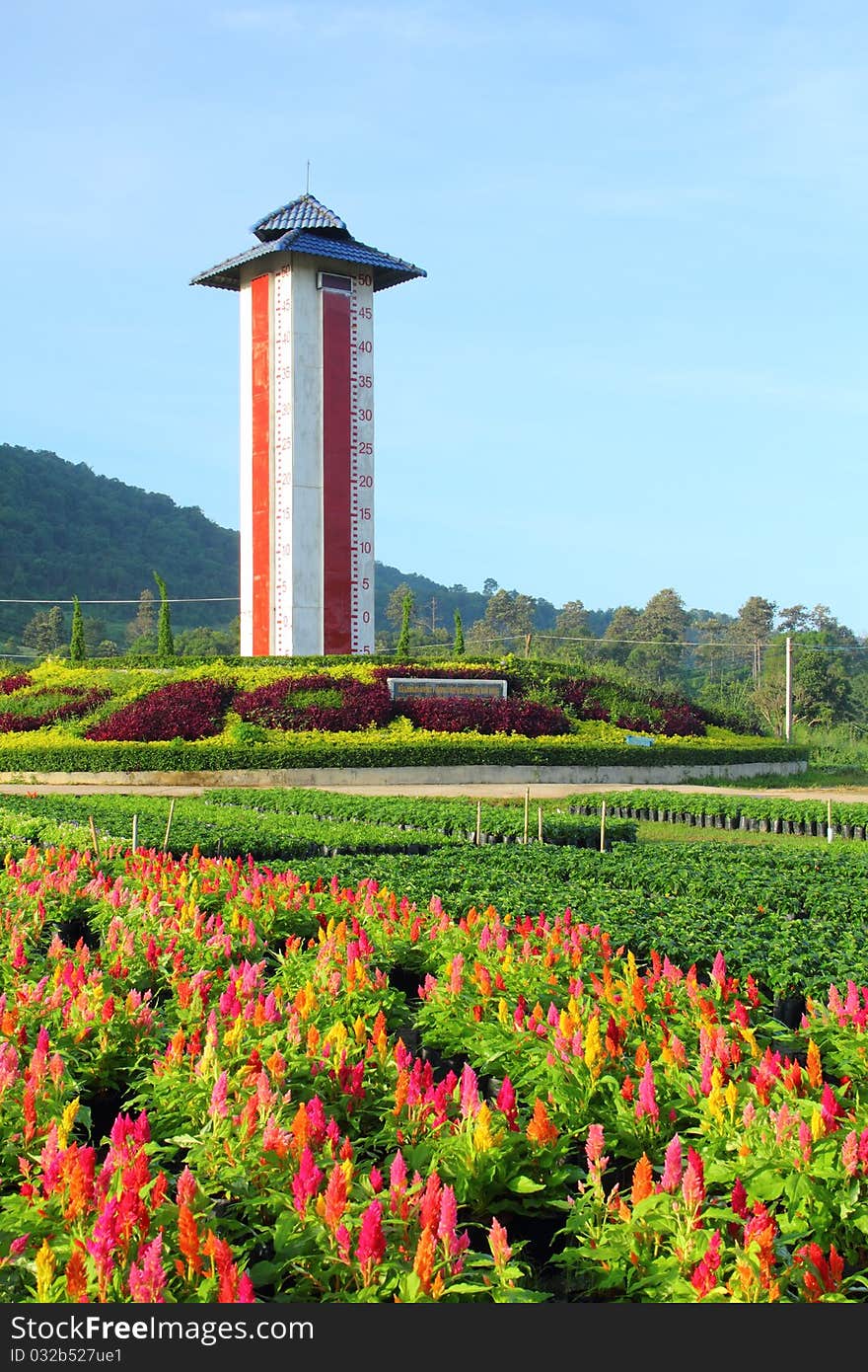 Beautiful park garden with bluesky