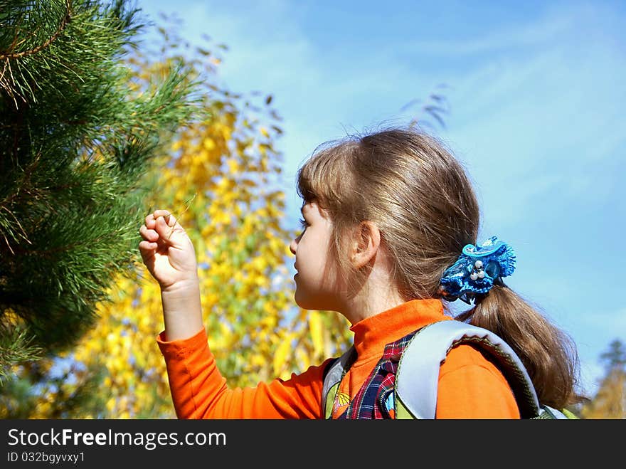 The girl has stretched a hand to a branch of a pine and looks aside. The girl has stretched a hand to a branch of a pine and looks aside