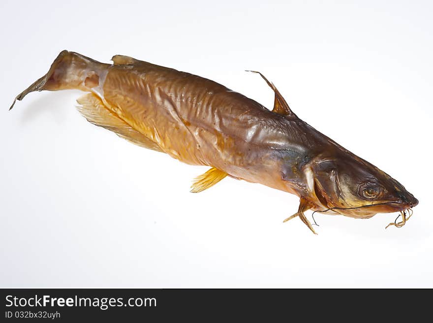 Sheat-fish isolated on the white