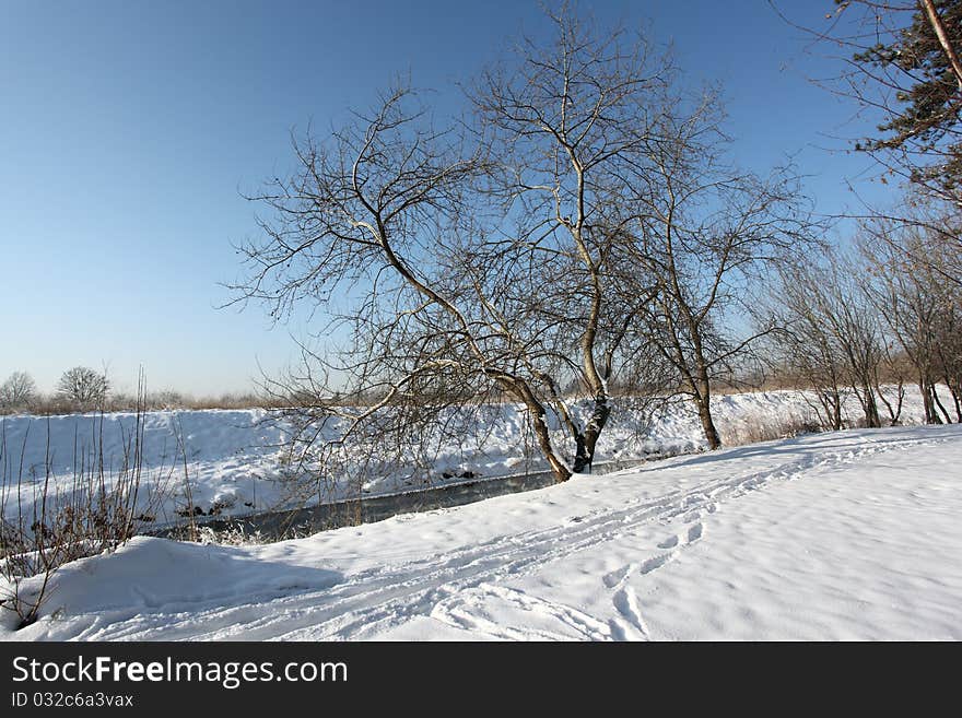 Winter landscape