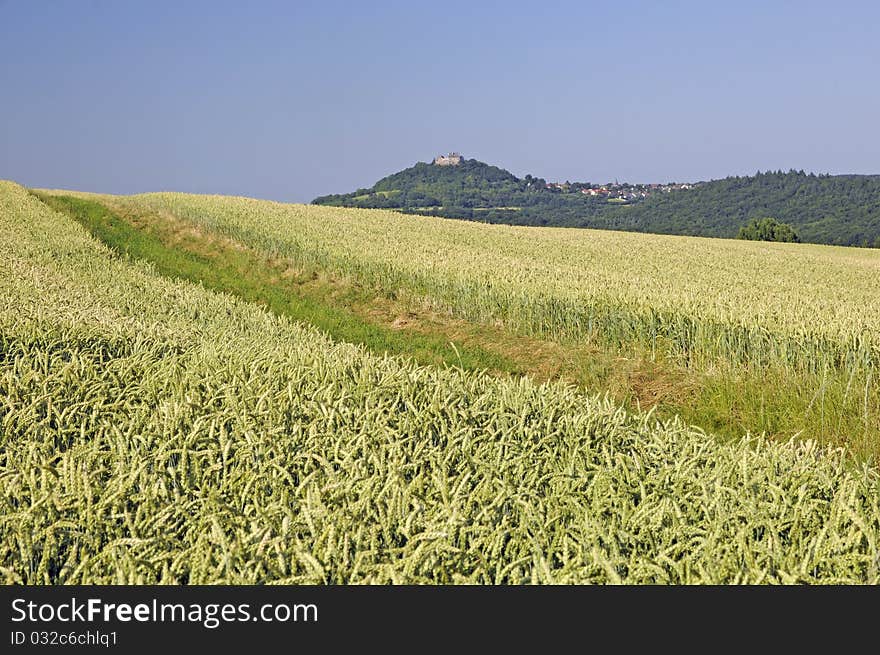 Fields