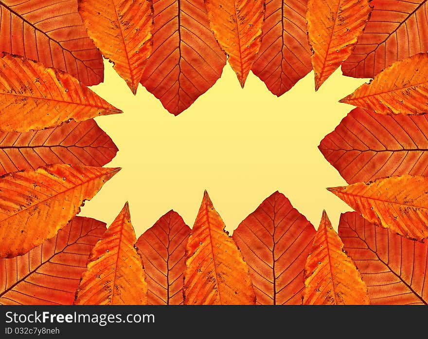 Colorful frame of autumn leaves. Colorful frame of autumn leaves.