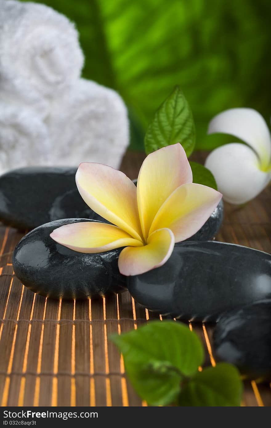 Close up view of  gray stones  and flower  on color back