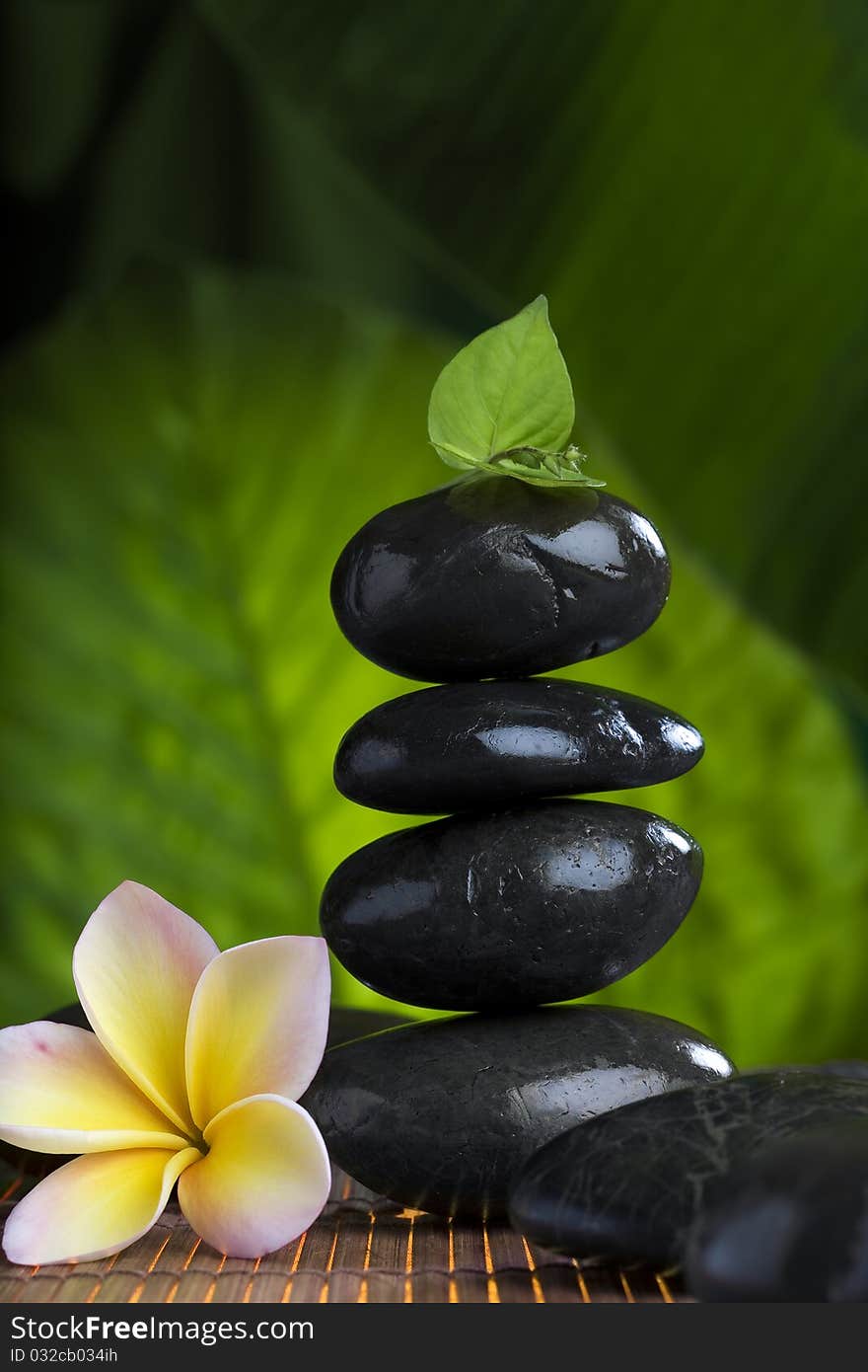 Close up view of gray stones and flower on color back. Close up view of gray stones and flower on color back