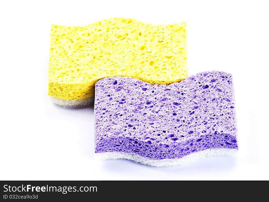 Sponges