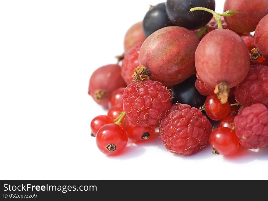 Garden Ripe Berries Isolated