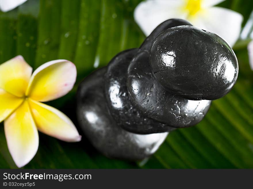 Close up view of gray stones and flower on color back. Close up view of gray stones and flower on color back