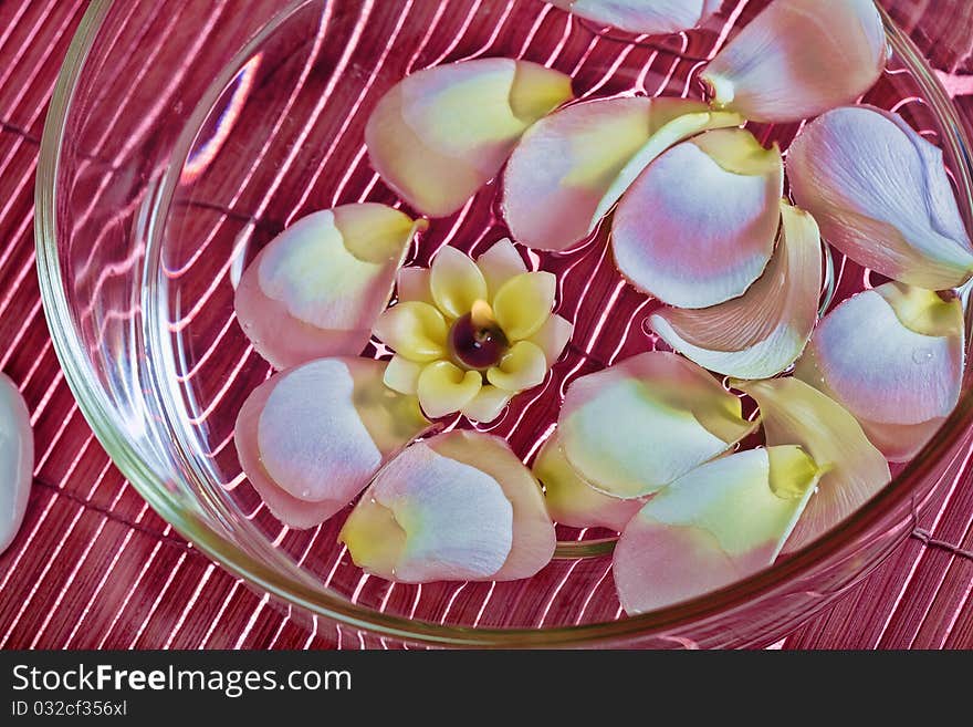 Close up view of nice frangipani  petals on water surface. Close up view of nice frangipani  petals on water surface