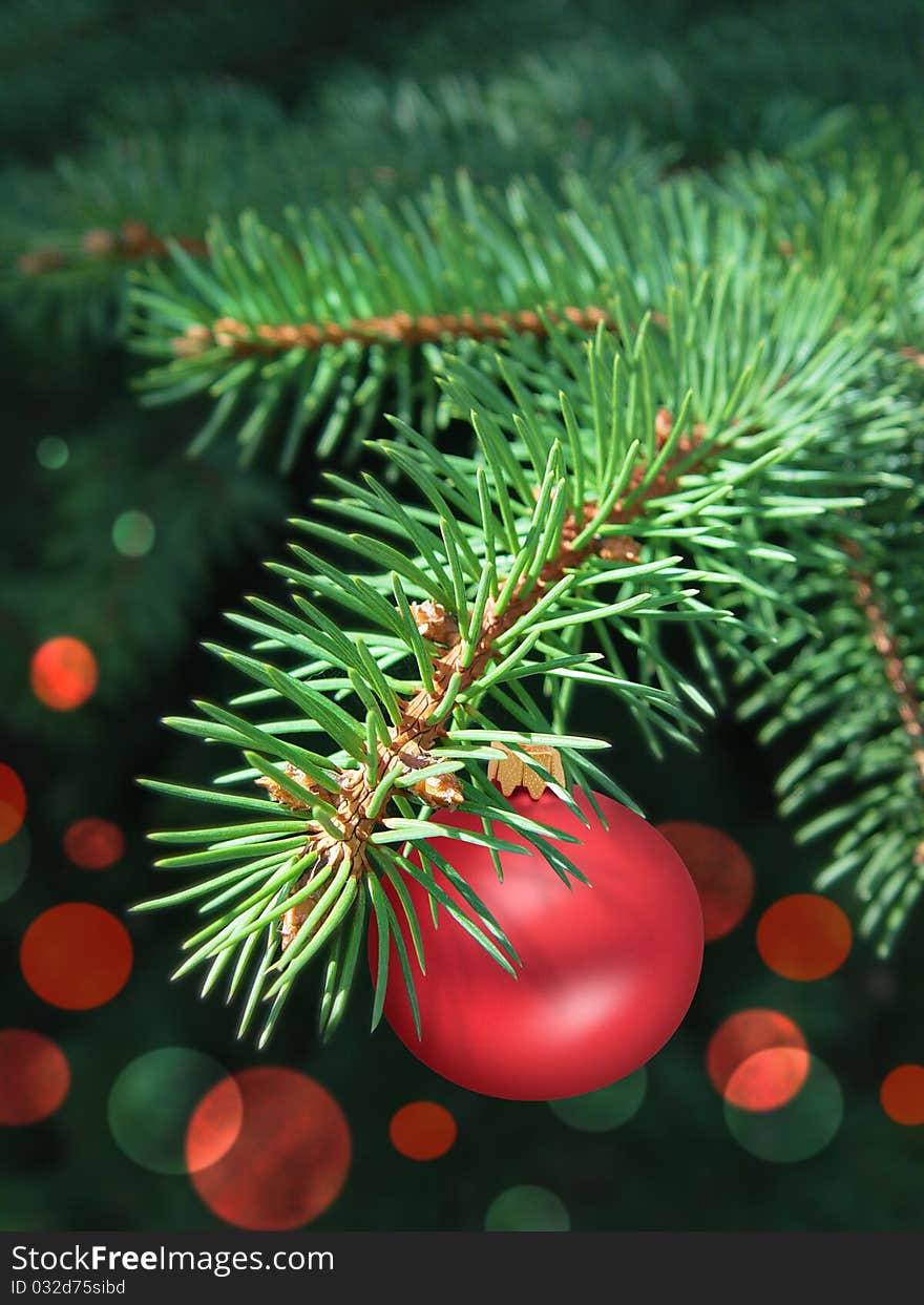 Fir branch with bauble