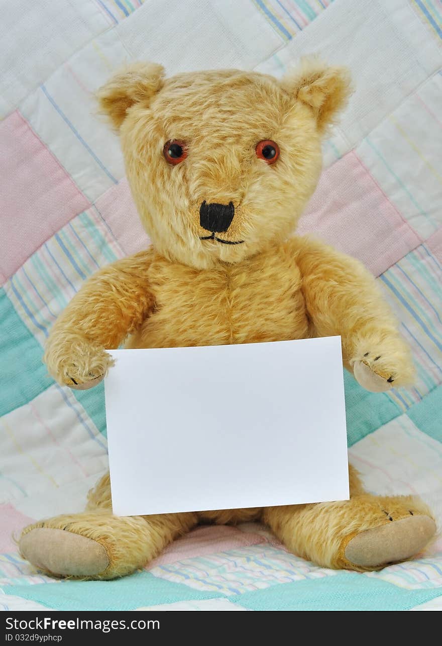 Teddy Bear with  Blank Card