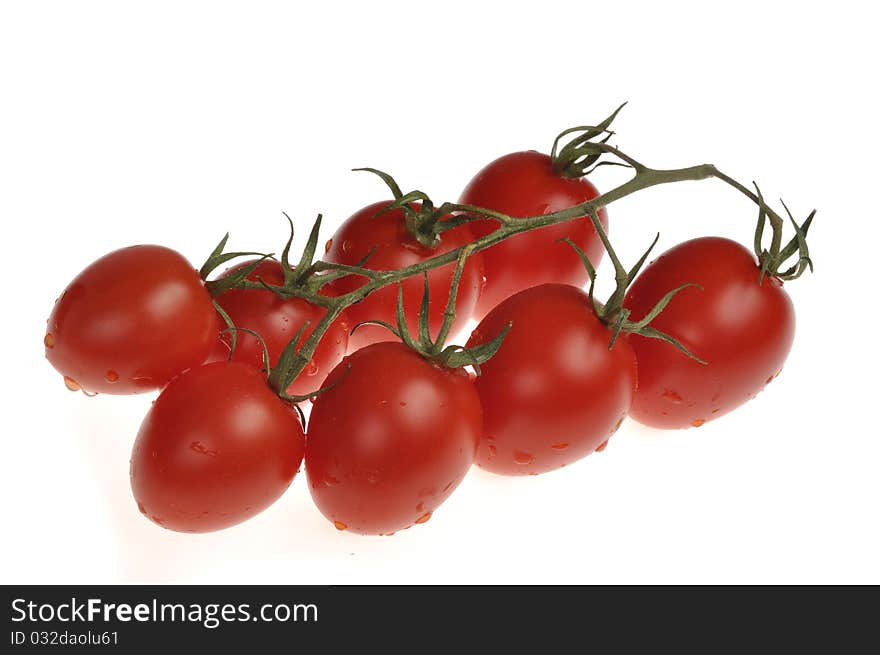 Wet cherry tomatos on the vine isolated on white