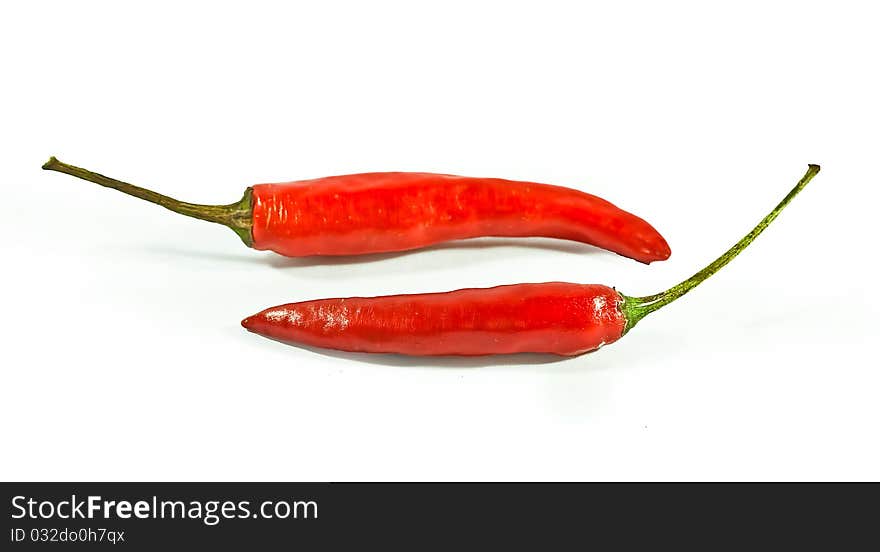 Red hot chili on white. Red hot chili on white