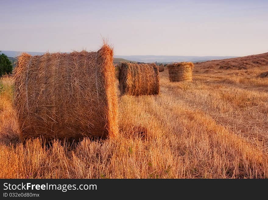 Golden hay bales in the countryside